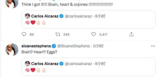 开云中国-一代人终将老去总有人正年轻 19岁阿尔卡拉斯登顶